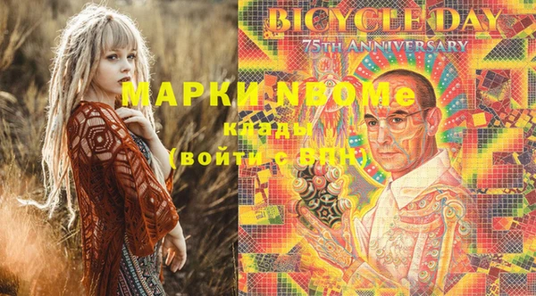 индика Балабаново