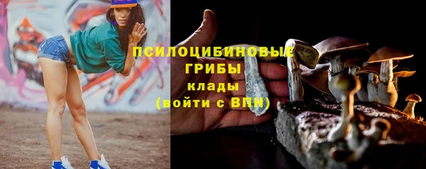 индика Балабаново