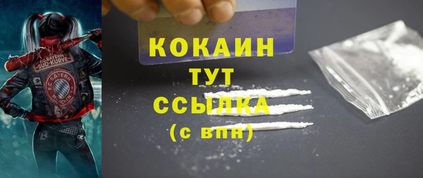 индика Балабаново