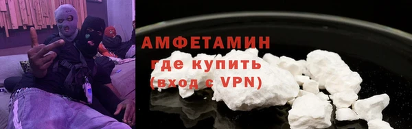 шишки Беломорск